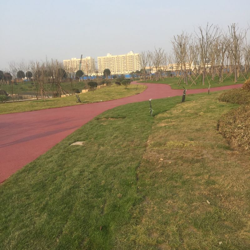 扬州亿彩景观工程有限公司